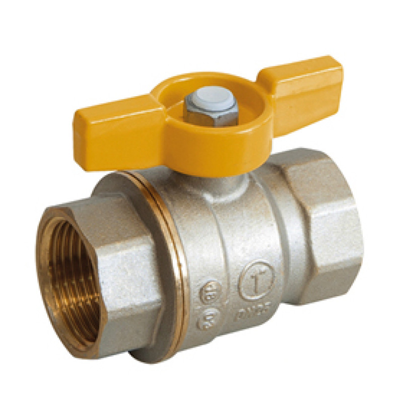 Giacomini lodveida ventilis 1