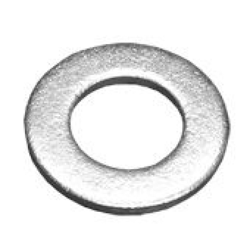 Ginestra Paplāksne, DIN125, M12, ZN (ISO7089) - gab. (100 gab.)