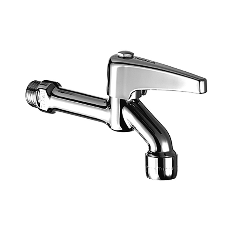 Schell sienas ventilis, 1/2