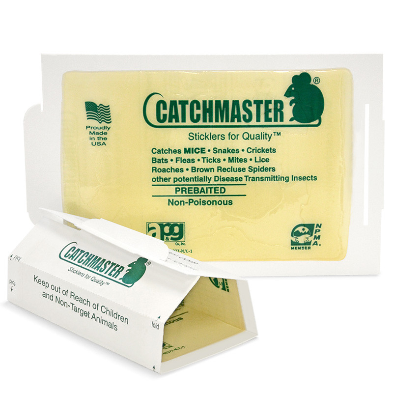AES Peļu līmju slazds 20x13.5cm Catchmaster