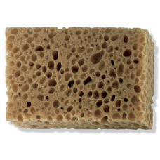 Color Expert Sūklis 50x100x150mm, sintētisks