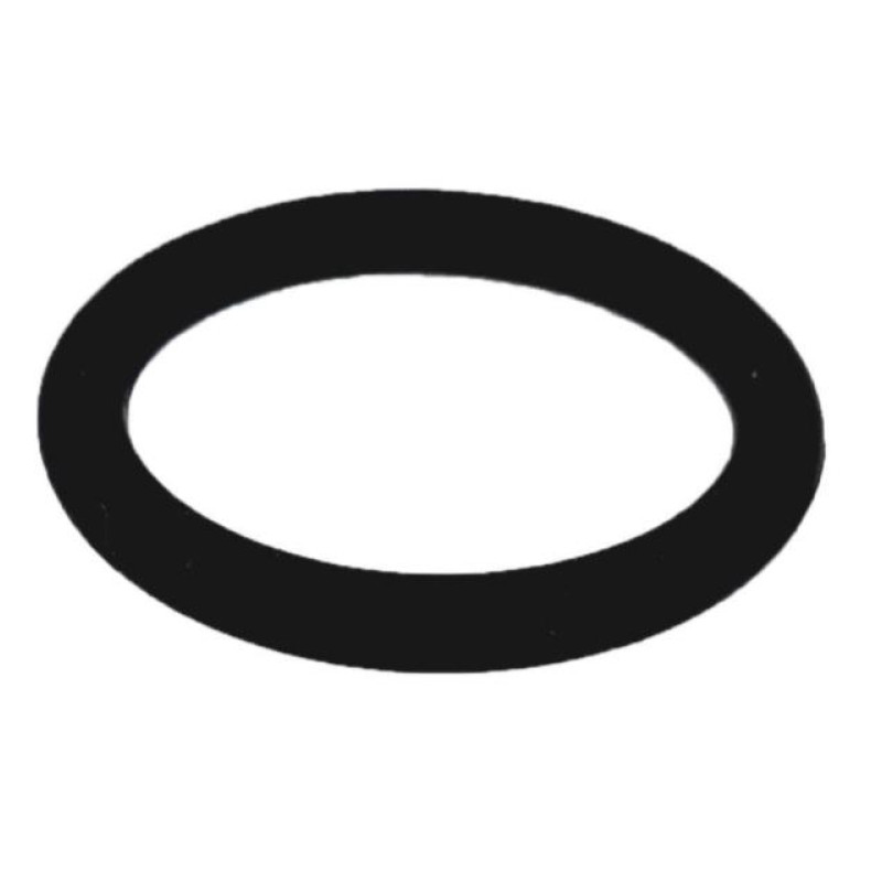 Hansgrohe blīve 13x2