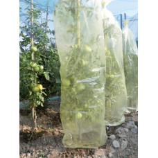 MR. TOMATO 0,60 x 10m, Pasargājoša cauruļveida plēve, kas paredzēta tomātu audzēšanai / gab