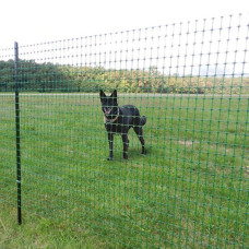 RANCH plastmasas žogs, 1,50 x 50 m, zaļš / gab