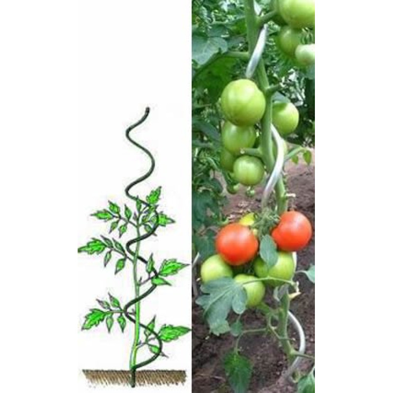 Atbalsta miets augiem, spirālveida 180cm/7mm / gab