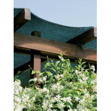 JAMAICA Daudzfunkcionāls ēnošanas tīkls 1 x 25m, zaļš 90 g/m² / gab