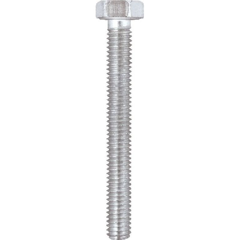Friulsider Skrūve cinkota M16x70