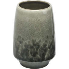 Aquanova zobbirstīšu trauks Figo, taiga