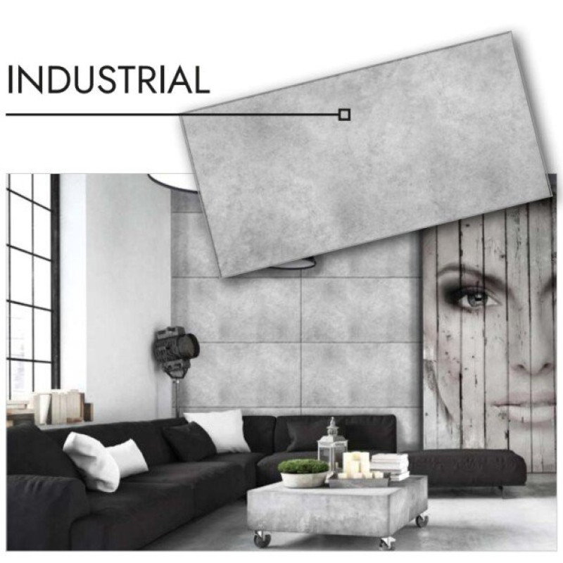 Dekoratīvais sienas apdares panelis INDUSTRIAL 500x1000mm / gab
