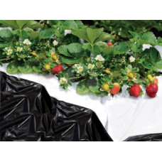 Melnbaltā plēve BLACK & WHITE COVER 1.40x10 m / gab