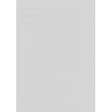 Forestia One-Step sienu apdares panelis 620x2800 mm, Light Grey