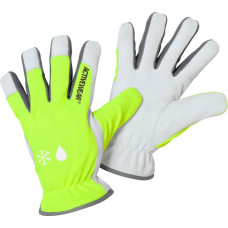 Activewear Cimdi ziemas Activewear 2285 izmērs 11 - pāri