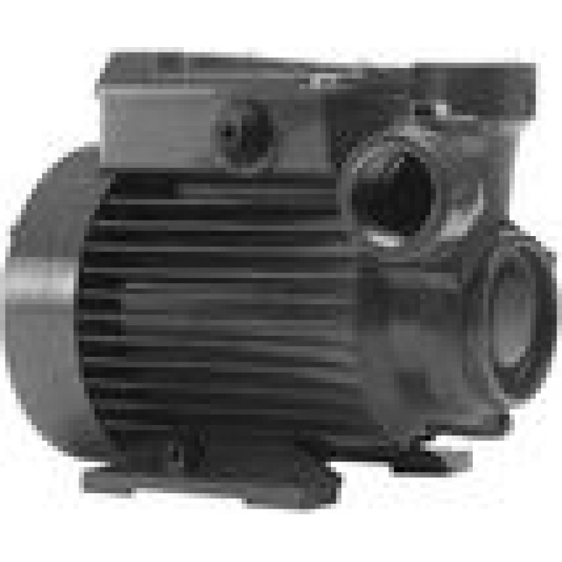 Calpeda Sūknis CT 61 0,33kW 380V 50Hz Calpeda