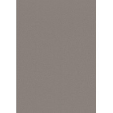 Forestia One-Step sienu apdares panelis 620x2800 mm, Warm Grey