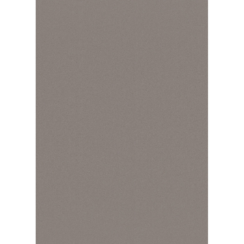 Forestia One-Step sienu apdares panelis 620x2800 mm, Warm Grey
