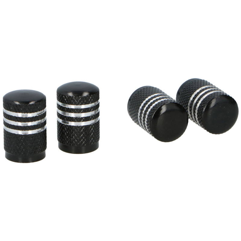 Dunlop Auto ventīļu micīte 4gb