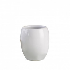 Axentia Trauks zobu birstēm Leander balts, keramika