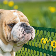 PET FLORET  0,6x5m, zaļš, Dekoratīvs norobežošanas siets / gab