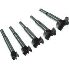 Beast Frēze kokam 5gb 15-35mm x D8mm Forstner