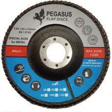 Pegasus Slīpējamais disks lapiņu 125mm G40 Standard PEGASUS