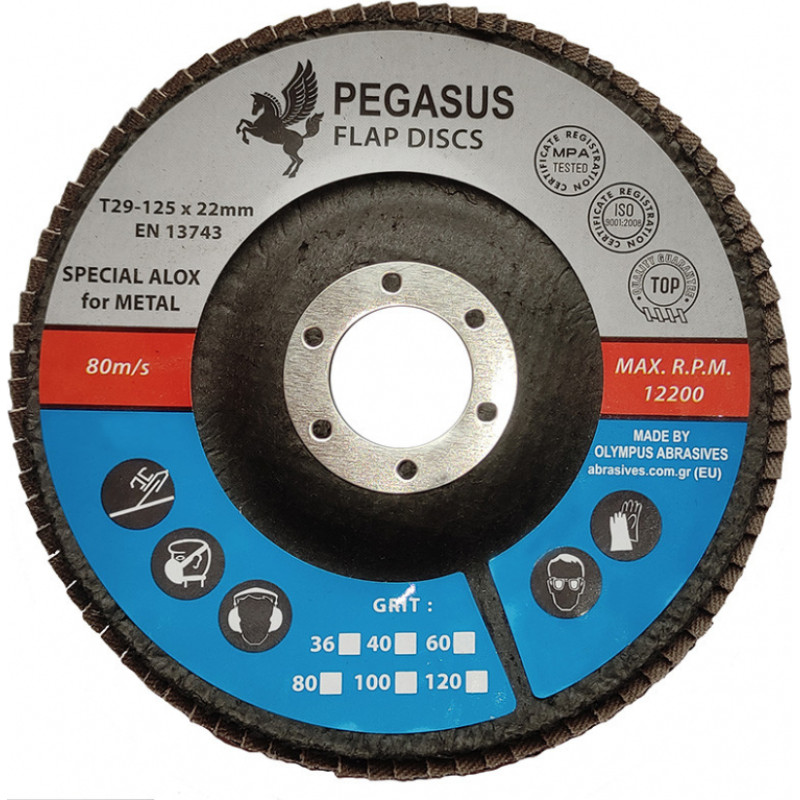 Pegasus Slīpējamais disks lapiņu 125mm G40 Standard PEGASUS