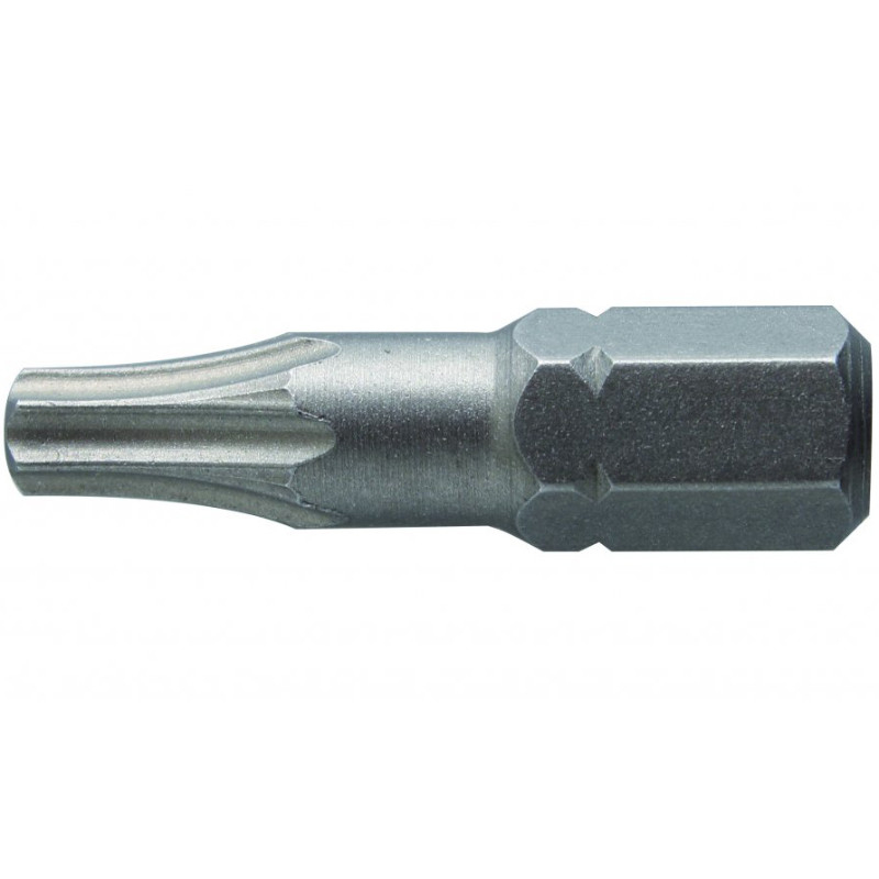 Hogert Skrūvgrieža uzgalis TORX 20, 25mm